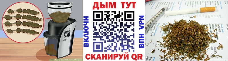 Cannafood конопля  где найти наркотики  KRAKEN ссылки  Питкяранта 
