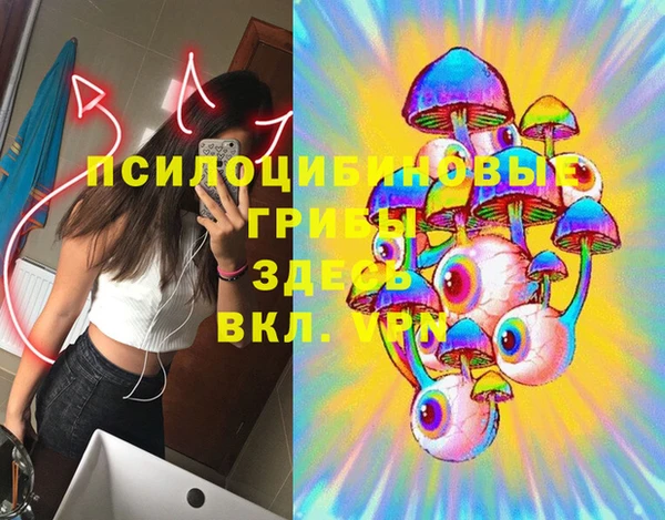 MDMA Медногорск