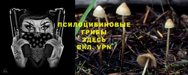 амфетамин Медвежьегорск
