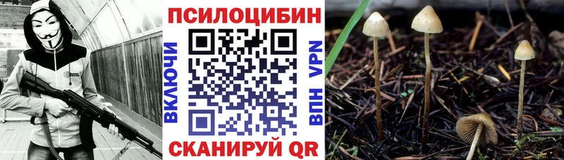 Псилоцибиновые грибы мухоморы  где можно купить   Питкяранта 