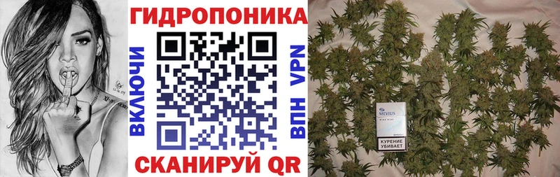 магазин продажи Питкяранта Бошки марихуана Ganja